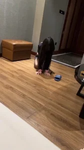 骚母狗米娜