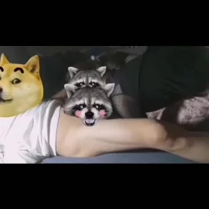 王传君